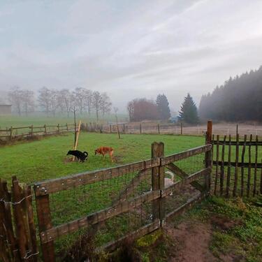 Foto - andere in Stadtkyll zur Miete