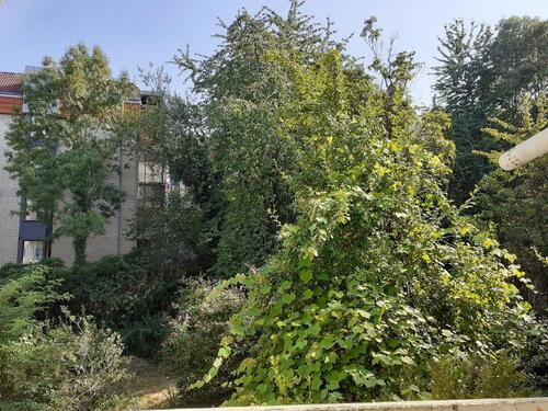 Foto - 2 Zimmer Eigentumswohnung mit Balkon in Elberfeld