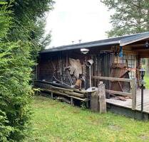 Schöne DG Wohnung mit Gartenanteil - Oelsnitz (Erzgebirge)