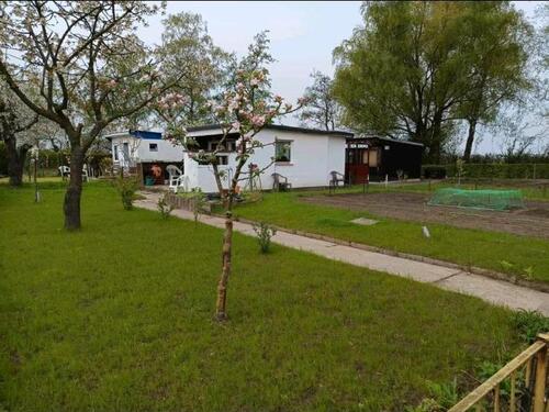 Foto - Kleingarten in Lütten-Klein unverbaut