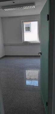 Foto - andere in Münster (Hessen)