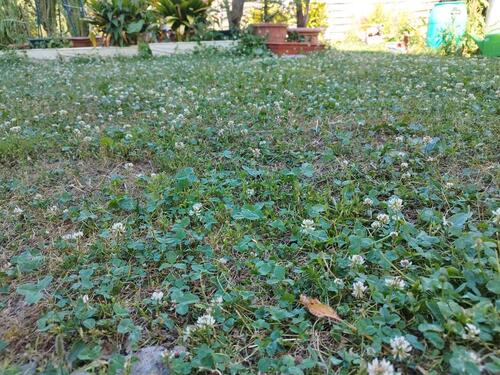 Foto - 80m2, möbeliert,inkl Küche,hell für Paare 2WG