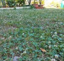 80m2, möbeliert,inkl Küche,hell für Paare 2WG - Geratal Geraberg