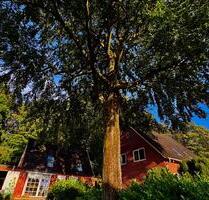 Siedlerhaus mit grozügigem Grüngrundstück - Barendorf