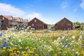 Foto - großes & hochwertiges Reihenmittelhaus im Grünen-