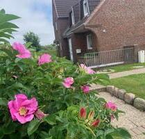 Sylt Westerland tolle Ferienwohnung strandnah 2 Pers.