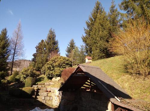 Foto - 