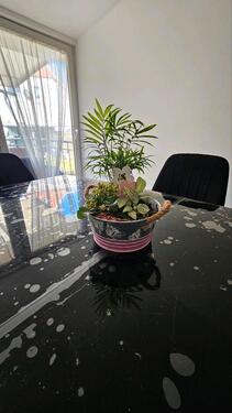 Foto - Einfamilienhaus in Duisburg Rheinhausen top Lage mit eigenem