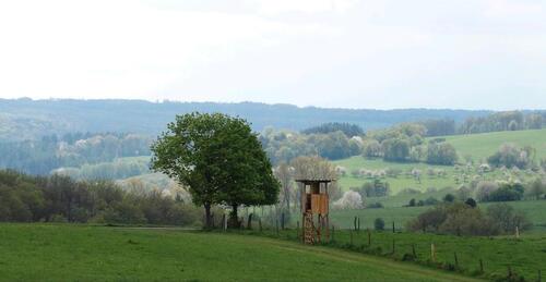Foto - Einzimmerwohnung in Nümbrecht OT