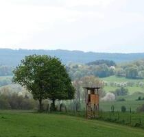 Einzimmerwohnung in Nümbrecht OT
