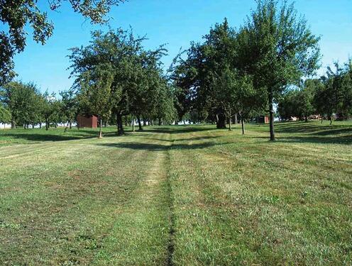 Foto - Wiese Baumwiese Acker - 100,00&nbsp;EUR Kaltmiete, ca.&nbsp; 100,00&nbsp;m&sup2;