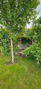 Foto - Einfamilienhaus in Brandenburg an der Havel