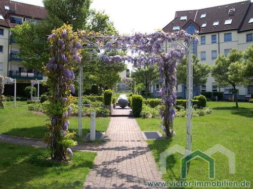 Foto - ** Werder an der Havel * Erdgeschosswohnung mit Terrasse **