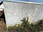 Foto - andere zur Miete in Wangen im Allgäu