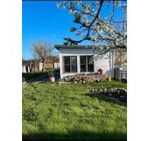 Großer Kleingarten in der Satower Straße - Papendorf