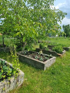 Foto - Grundst&uuml;ck zur Miete in Papendorf