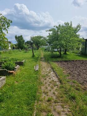 Foto - Grundst&uuml;ck in Papendorf