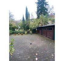 2 Zimmer Souterrain hell Karlsruhe - Steinweiler