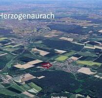 Haus verkauf - Weisendorf - Buch - Bungalow 723 qm