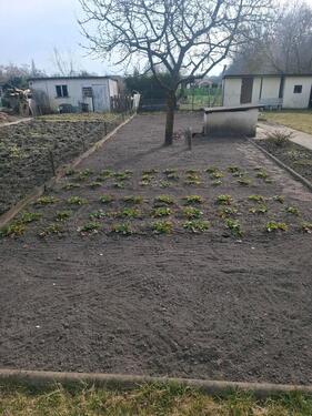 Foto - Grundst&uuml;ck in Brandenburg an der Havel