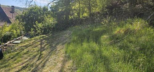 Foto - Einfamilienhaus in Osterburken zum Kaufen