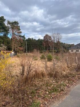 Foto - Baugrundstück von Privat in Nassenheide
