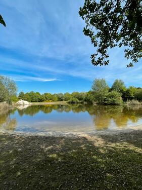 Foto - 12 Zimmer Mehrfamilienhaus, Wohnhaus zum Kaufen in Wittmund