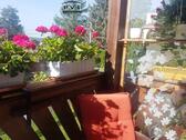 Foto - Herrliche 3-Zimmerwhg. mit Balkon u. Gartenanteil
