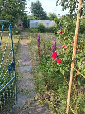 Foto - Grundst&uuml;ck zur Miete in Papendorf