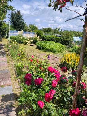 Foto - Grundst&uuml;ck in Papendorf