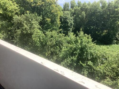 Foto - 3 Zimmer Etagenwohnung zur Miete in Kassel