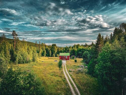 Foto - Ferienhaus Schweden alleinlage im wald Nähe See