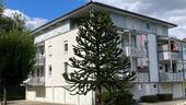 Foto - Haiger - Schöne Stadtwohnung mit Südbalkon und Aufzug