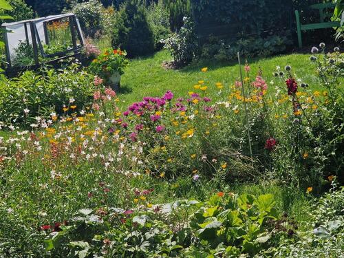 Foto - Grundst&uuml;ck in Cottbus