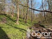 Foto - Laubmischwald (ca. 0,4 ha) am Stadtrand von Weißenfels
