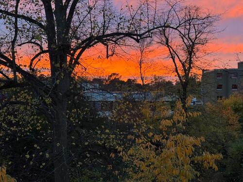 Foto - Etagenwohnung in Berlin zur Miete