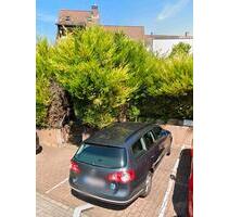 Autostellplatz zu vermieten - 45,00&nbsp;EUR Miete, in Ingelheim am Rhein (PLZ: 55218)