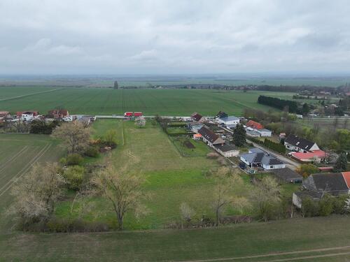Foto - Grundst&uuml;ck in Gröningen zum Kaufen