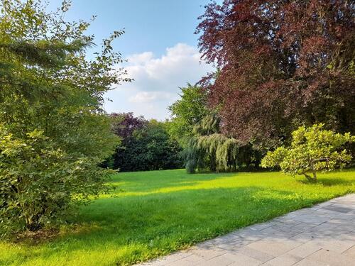 Foto - Große Wohnung inmitten von WiesenFeldern zum Wohnen und Arbeiten