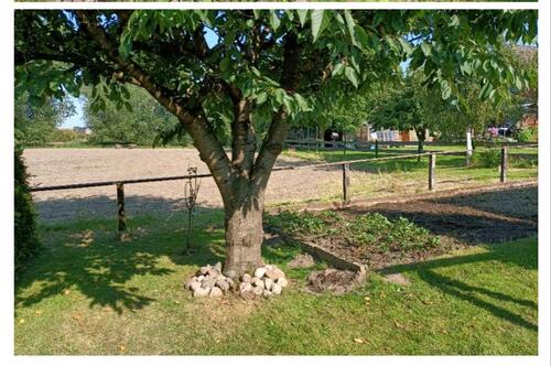 Foto - 2,5 Zimmer Wohnung in Ritsch - 600,00&nbsp;EUR Kaltmiete, ca.&nbsp; 80,00&nbsp;m&sup2;