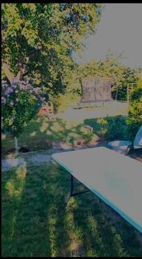 Foto - Grundst&uuml;ck in Neubrandenburg zur Miete