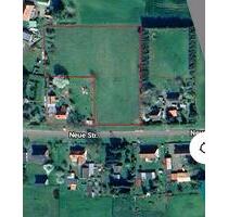 Grundstück in Hohen Pritz - 110.000,00 EUR Kaltmiete, ca.  0,00 m² in Sternberg (PLZ: 19406)