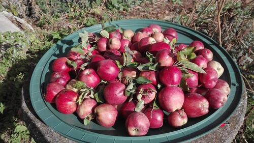 Foto - Mieten in Volxheim - 65,00 EUR Kaltmiete, ca.  0,00 m²