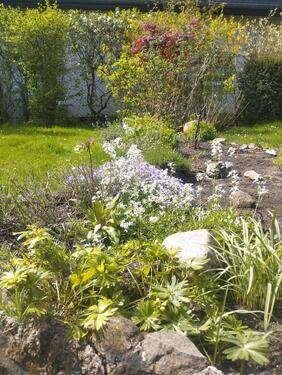 Foto - Freistehendes EFH auf grossem Grundstück