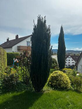 Foto - Einfamilienhaus in Riederich zum Kaufen