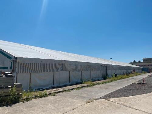 Foto - andere in Borna