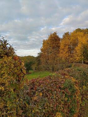 Foto - Grundstück in Schwerin