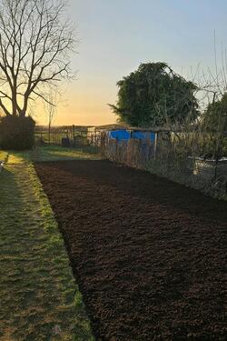 Foto - 60 m² Gartenstück für Gemüseanbau in Reichelsheim zu vermieten