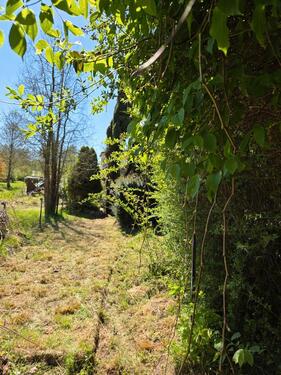 Foto - Einfamilienhaus zum Kaufen in Reichenbach/Oberlausitz