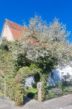 Foto - 850.000,00&nbsp;EUR Kaufpreis, ca.&nbsp; 220,00&nbsp;m&sup2;
